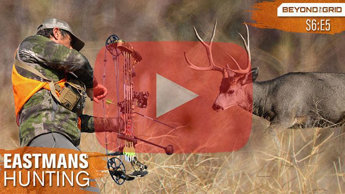 BTG_2021_MT_Deer_BrianB_B_Thumbnail _V4