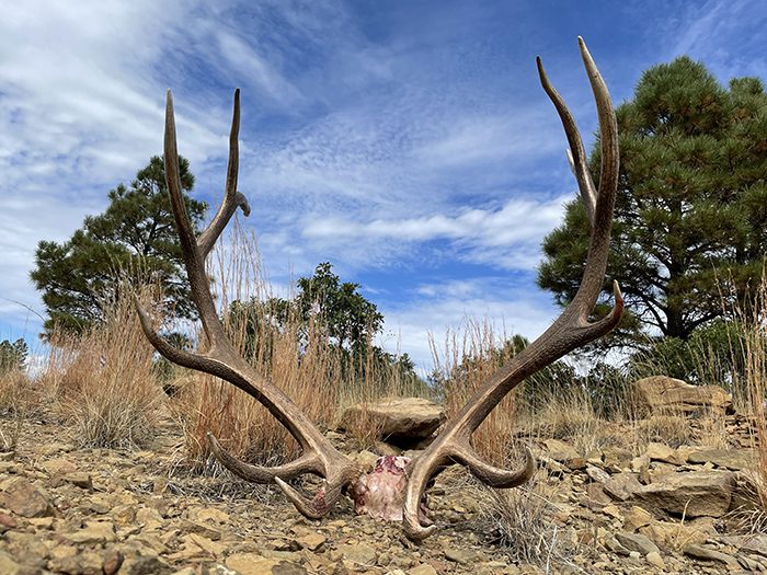 2021_CO_Elk_HW_Keith_IMG_6094