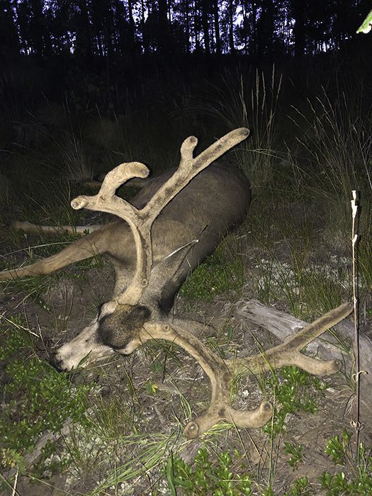 012323_Glenn Swan-MD-CO-DIY-PL_Buck down S