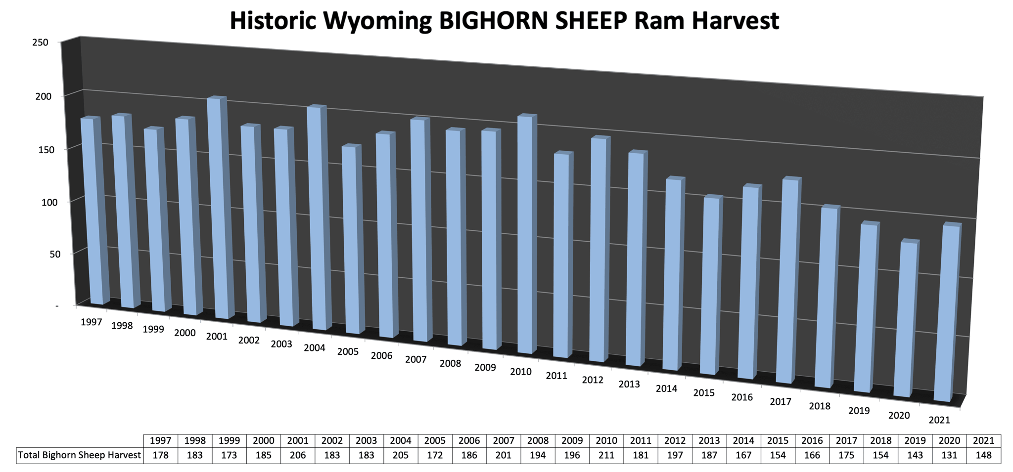 Historic Wyoming BIGHORN SHEEP Ram Harvest