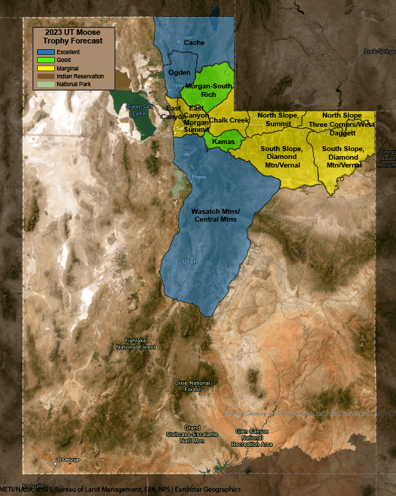 Utah Moose Trophy Forecast