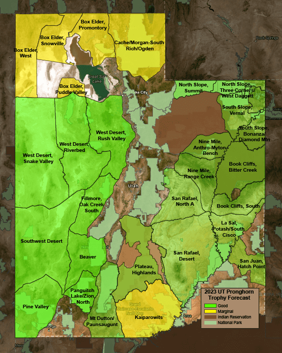 Utah Pronghorn Trophy Forecast
