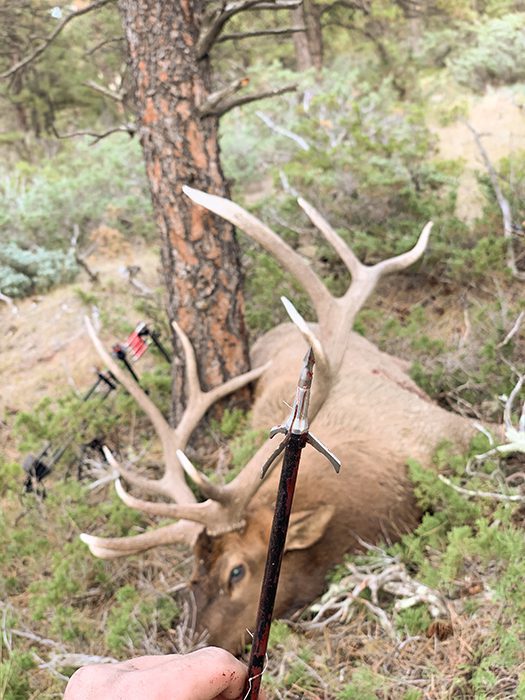 020623_Jake Bell-ELK-MT-DIY-PV_Photo Sep 14, 5 11 01 PM