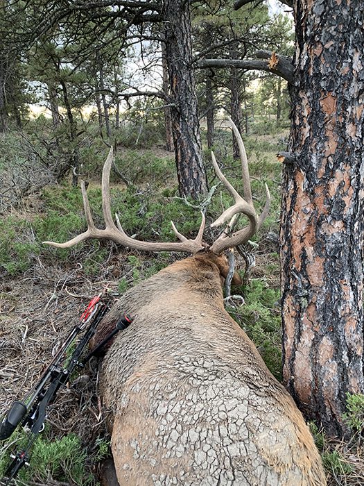 020623_Jake Bell-ELK-MT-DIY-PV_Photo Sep 14, 7 06 38 PM
