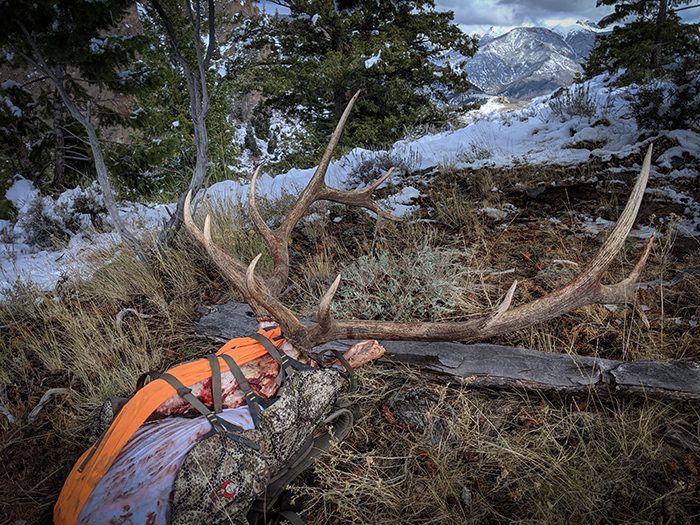 021323_JoeHeald-ELK-ID-DIY-PL_IMG_20190930_151350
