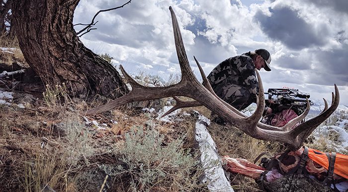 021323_JoeHeald-ELK-ID-DIY-PL_IMG_20190930_151404