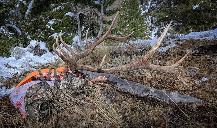 021323_JoeHeald-ELK-ID-DIY-PL_IMG_20190930_151416