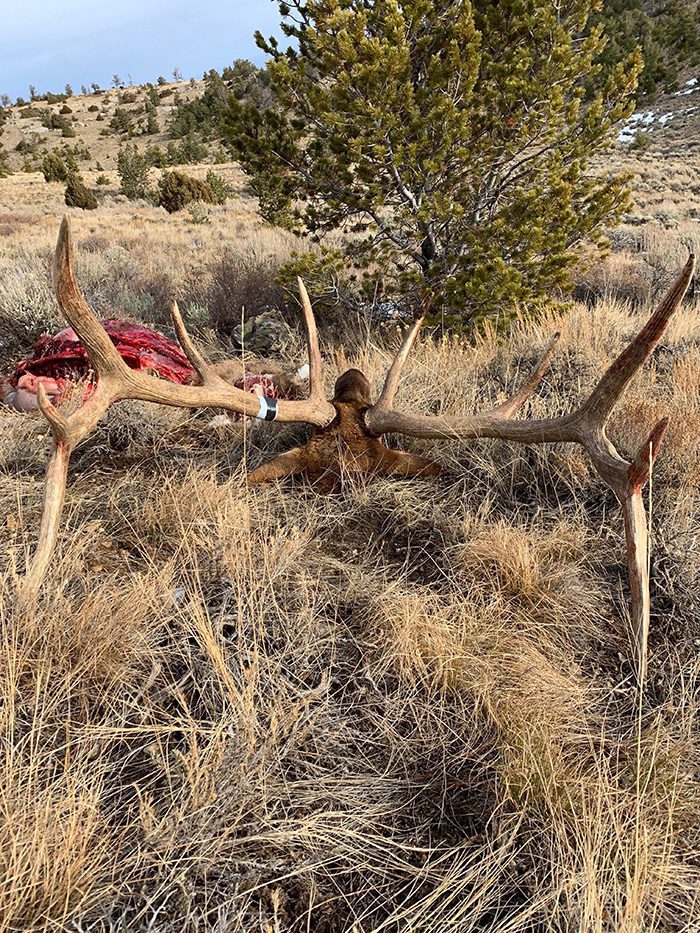 021923_Kiera Jenkins-ELK-WY-DIY-PL_unnamed (4)