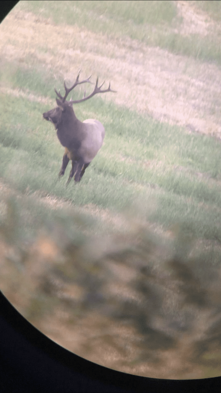 022723_Jeff Sandstrom-ELK-OR-DIY-PL_IMG_3604