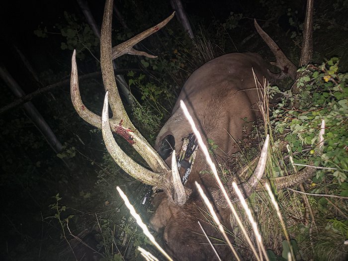 032723_Jace Guymon-ELK-UT-DIY-PL_20190904_212454