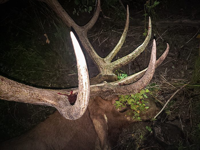 032723_Jace Guymon-ELK-UT-DIY-PL_20190904_213303