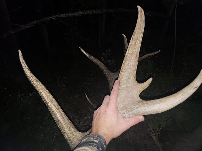 032723_Jace Guymon-ELK-UT-DIY-PL_20190904_213328