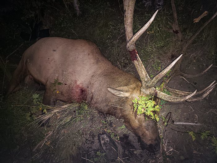 032723_Jace Guymon-ELK-UT-DIY-PL_20190904_213503