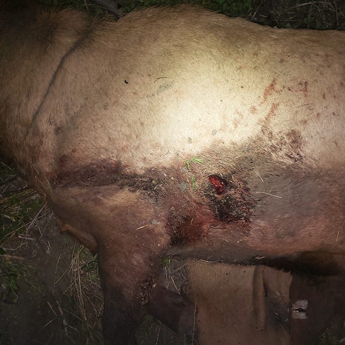 032723_Jace Guymon-ELK-UT-DIY-PL_IMG_20190905_160910_629 (1)