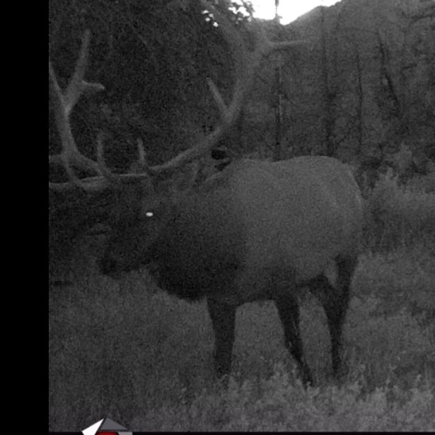032723_Jace Guymon-ELK-UT-DIY-PL_IMG_20190908_145712_978