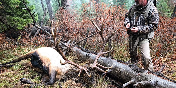 040323_Donald McClean-ELK-OR-DIY-PLImage (10)