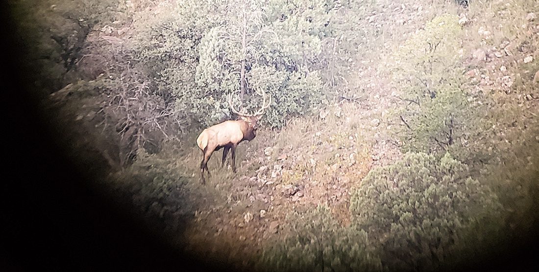 042423_Ernie Cordova-ELK-AZ-GD-PL_20191002_064654