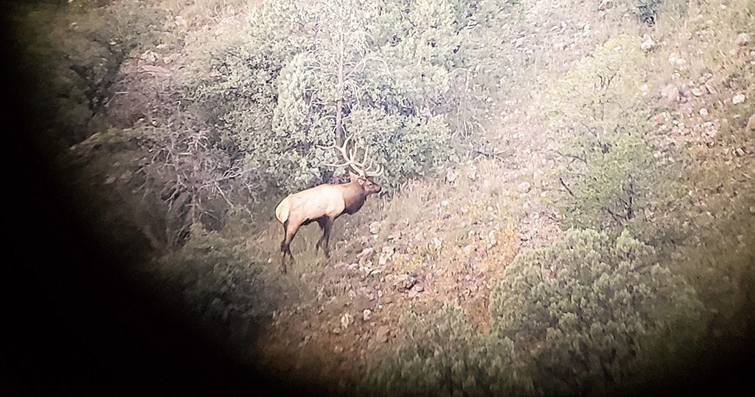 042423_Ernie Cordova-ELK-AZ-GD-PL_20191002_064658