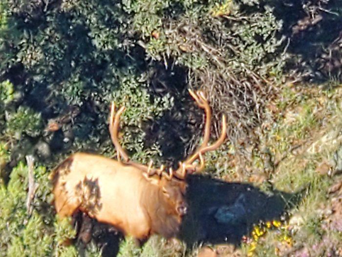 042423_Ernie Cordova-ELK-AZ-GD-PL_20191002_071819