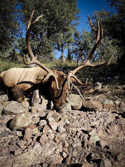 042423_Ernie Cordova-ELK-AZ-GD-PL_20191003_075053