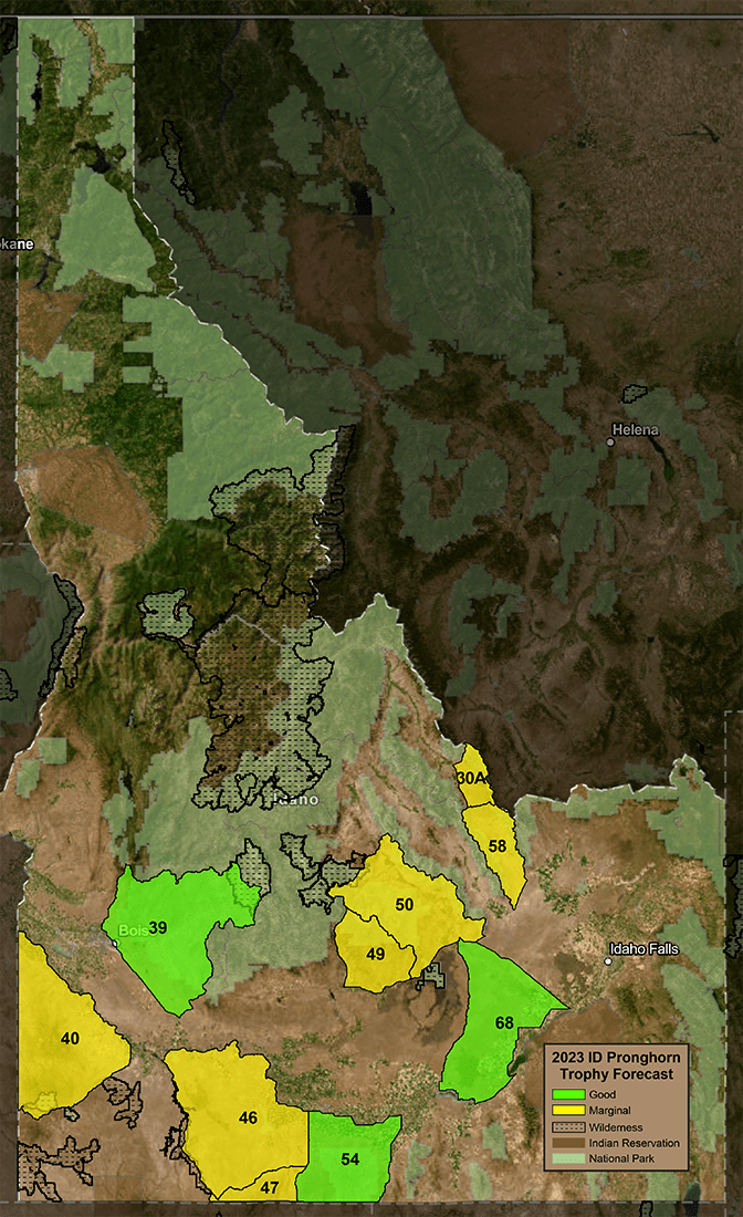 ID Pronghorn Trophy Forecast
