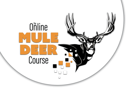 Logo_On_Circle_3