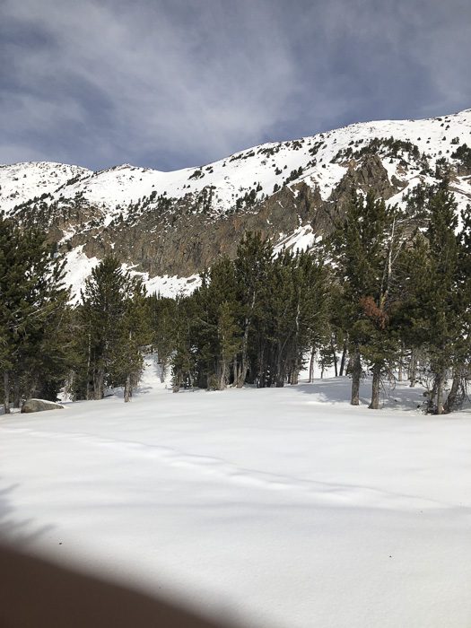 050123_Jeremy Gnerer-ELK-MT-DIY-PL_sm_010