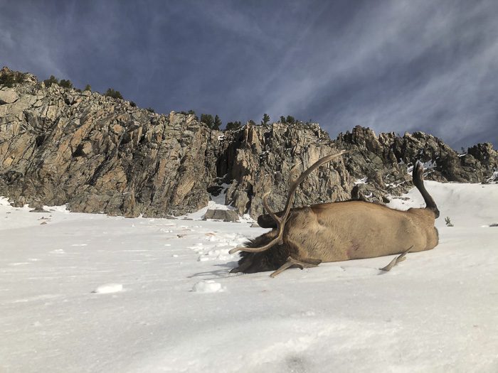 050123_Jeremy Gnerer-ELK-MT-DIY-PL_sm_012