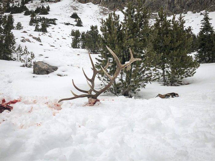 050123_Jeremy Gnerer-ELK-MT-DIY-PL_sm_026