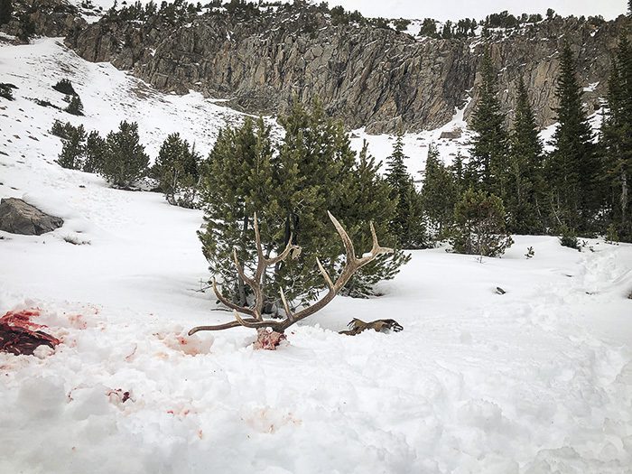 050123_Jeremy Gnerer-ELK-MT-DIY-PL_sm_027