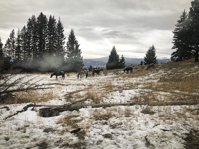 050123_Jeremy Gnerer-ELK-MT-DIY-PL_sm_031