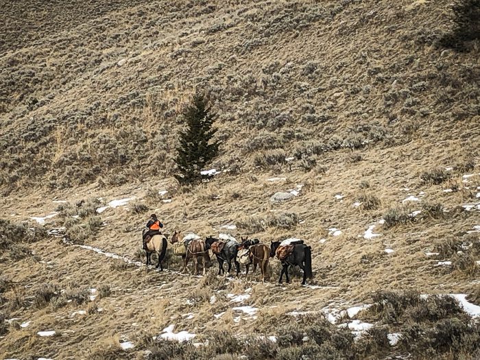 050123_Jeremy Gnerer-ELK-MT-DIY-PL_sm_033