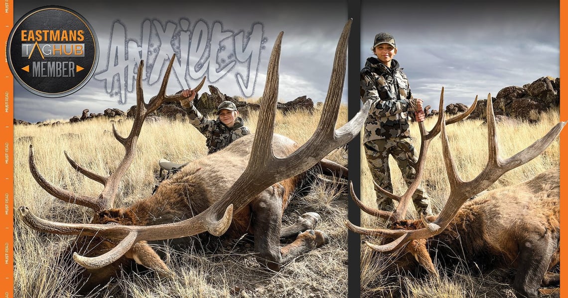051523_CaitlynMorris-ELK-ID-DIY-PL