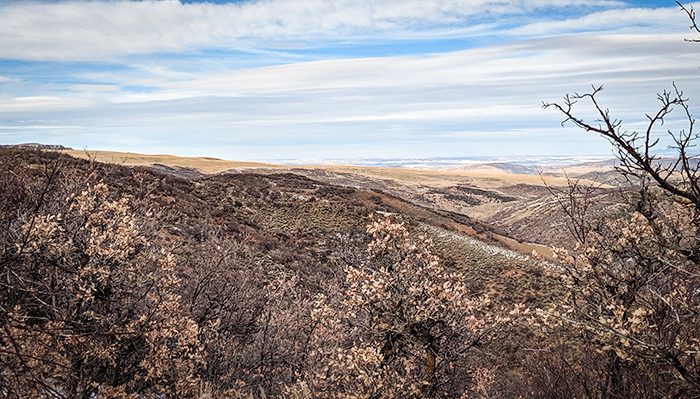 052923_Jeremy Gilliam-ELK-CO-GD-PV_IMG_20191103_141734