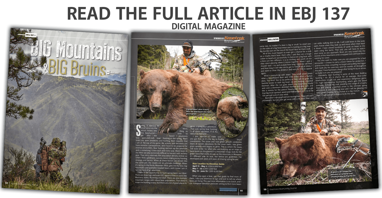 BIG_MOUNTAINS_BIG-BRUINS_DIGITAL_MAGAZINE_BANNER