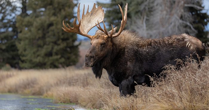 Photo Credit: harrycollinsphotography Photo Credit: harrycollinsphotography