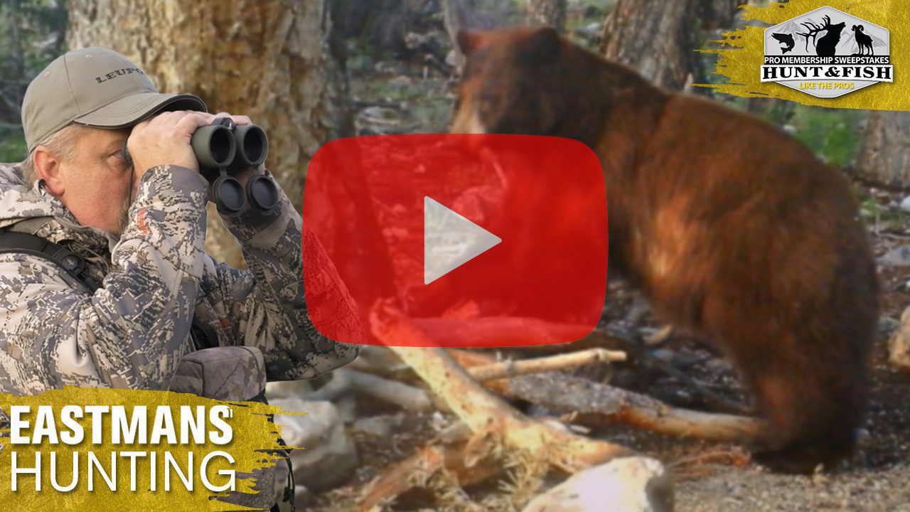 ProMS Spring Bear Hunt