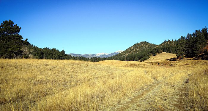 061923_John Crawford-ELK-NM-GD-PV_unnamed (2)