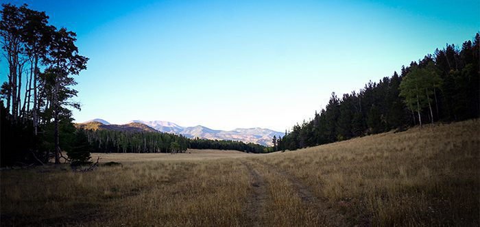 061923_John Crawford-ELK-NM-GD-PV_unnamed (4)