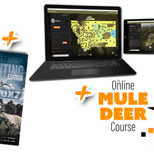 TagHub Membership | Buy Now! - THSF Elite Annual Includes free gift for 4th of July - MDC