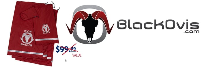 taghub FREE GIFT 6 6 23 B