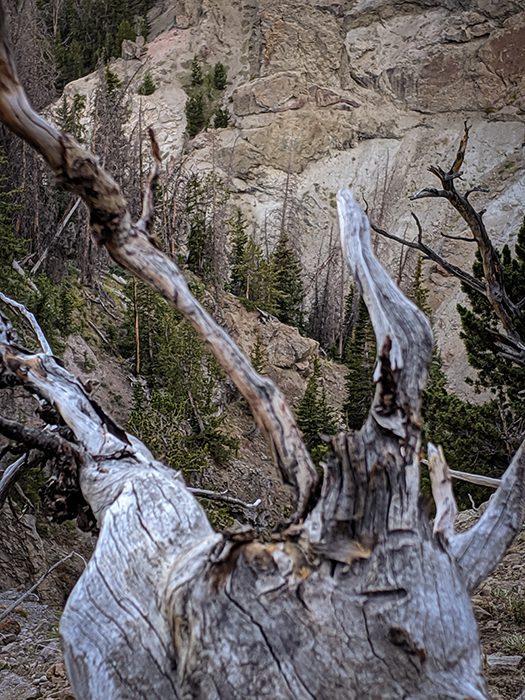 071723_Marty Siebken-BHS-WY-GD-PL_Shooting Rest
