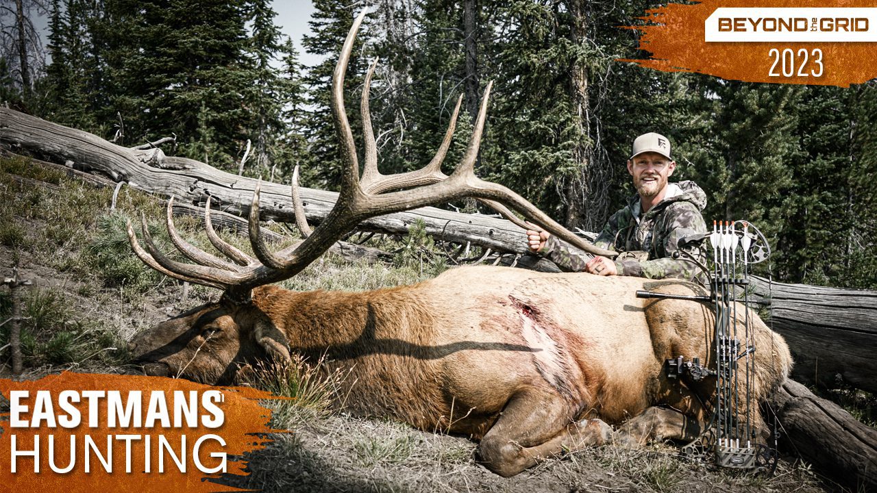 BTG_2022_WY_Elk_DanP_Thumbnail_V2 (1)