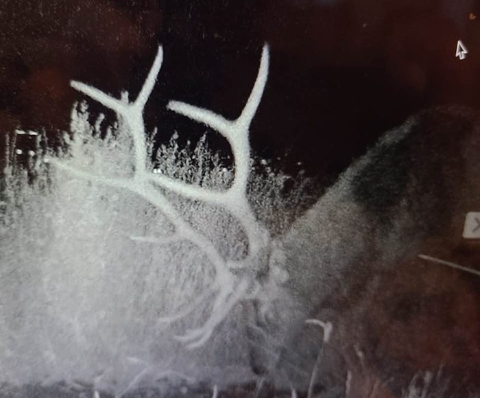 081423_Farrell McQuiddy-ELK_002