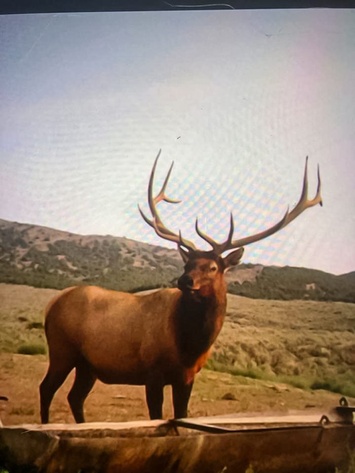 081423_Farrell McQuiddy-ELK_003
