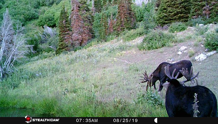 082123_Lucas Davis-MOOSE-UT-DIY-PL_STC_0042