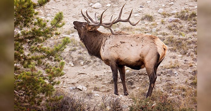 Blog_Pic_UTAH_UPDATE