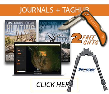 EHJ Journals+TH