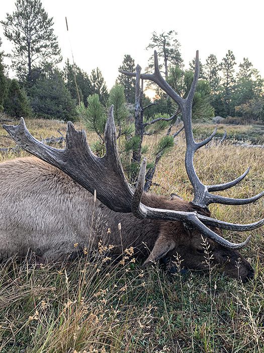 090523_Terry Nelson-ELK-WY-DIY-PL_Image (13)