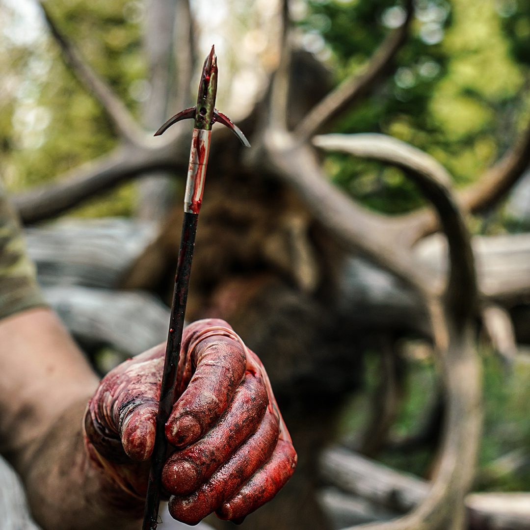 2022_WY_Elk_DanP_B_Edited_04 (2)